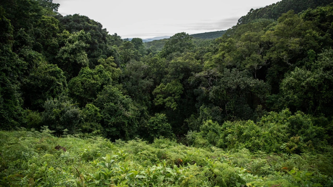 National reserve on the Westfalia Estate.