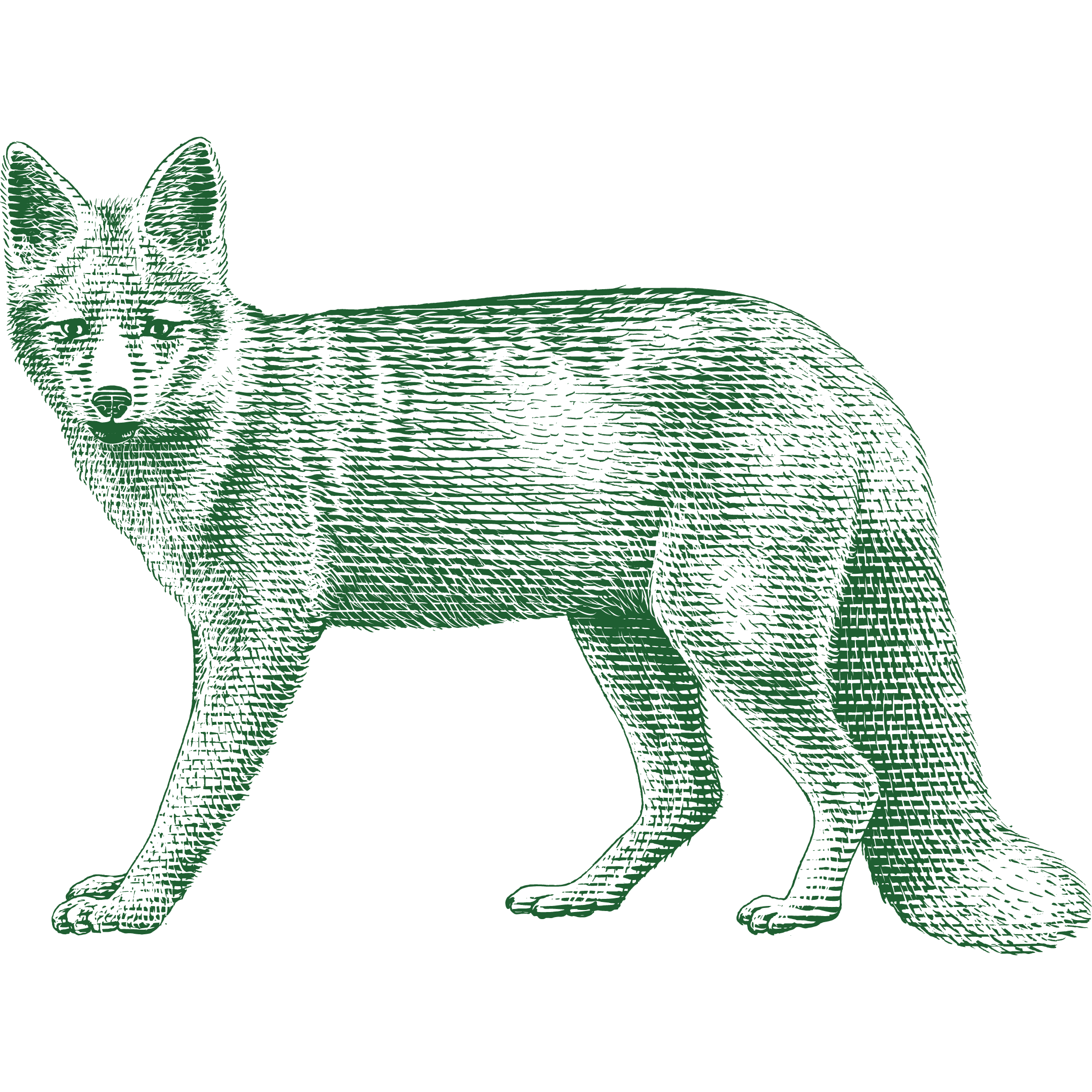 biodiversity image