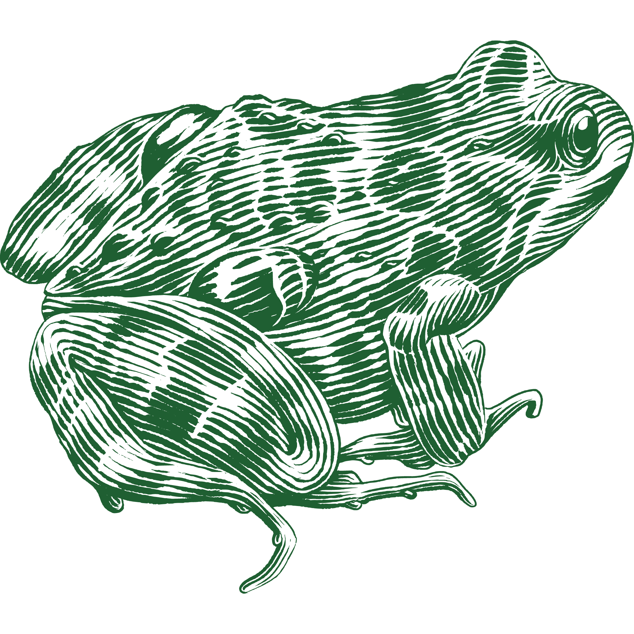 biodiversity image